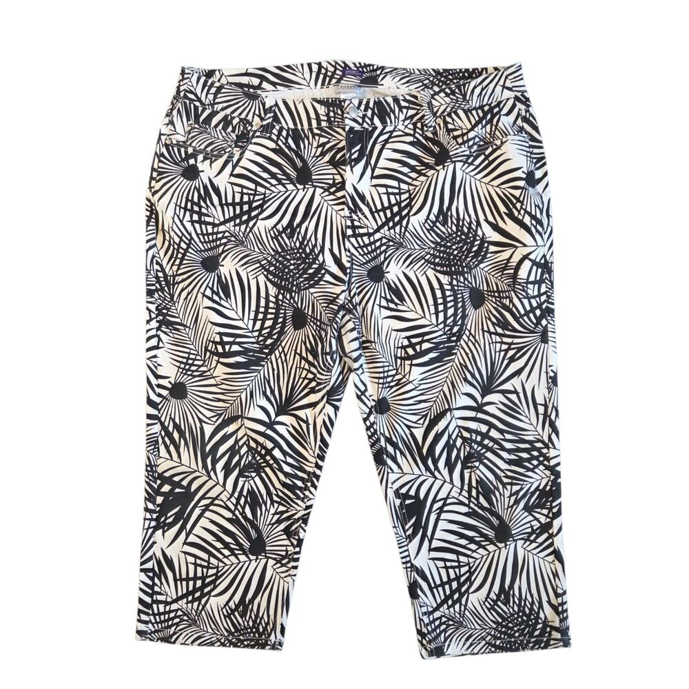 Catherines Secret Slimmer Black White Tropical Palm Leaf Print Capri Pants 22W